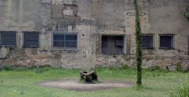 El árbol del ahorcado