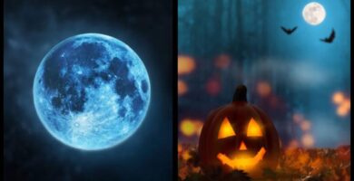 Halloween Moon Blue